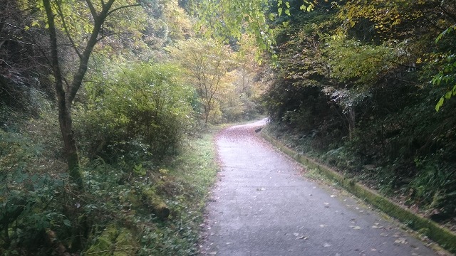 f:id:savarun:20201113195636j:plain f:id:savarun:20201113195636j:plain