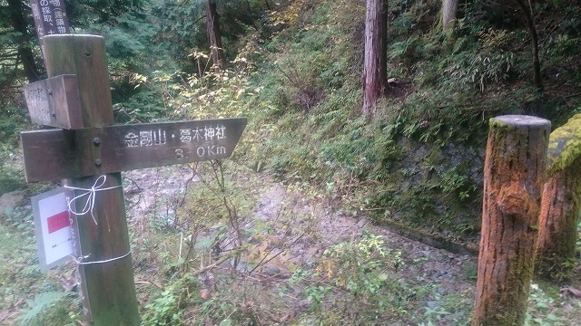 f:id:savarun:20201113195639j:plain f:id:savarun:20201113195639j:plain