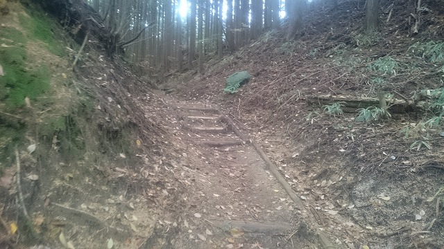 f:id:savarun:20201113195649j:plain f:id:savarun:20201113195649j:plain
