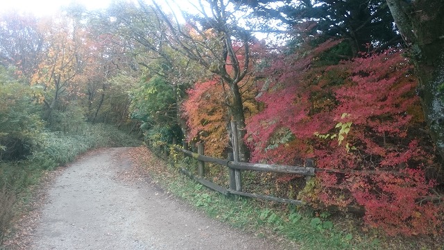 f:id:savarun:20201113200136j:plain f:id:savarun:20201113200136j:plain