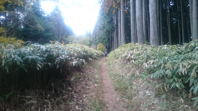 f:id:savarun:20201113200745j:plain f:id:savarun:20201113200745j:plain