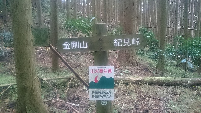 f:id:savarun:20201113200848j:plain f:id:savarun:20201113200848j:plain