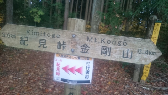 f:id:savarun:20201113201247j:plain f:id:savarun:20201113201247j:plain