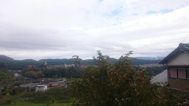 f:id:savarun:20201113201300j:plain f:id:savarun:20201113201300j:plain