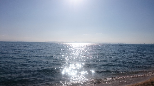 f:id:savarun:20201114220701j:plain f:id:savarun:20201114220701j:plain