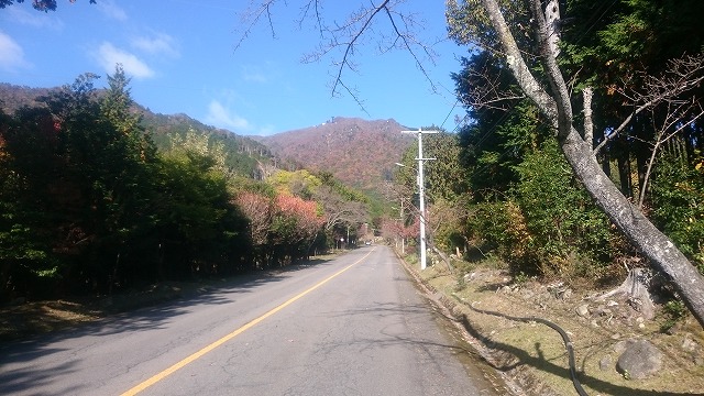 f:id:savarun:20201114221149j:plain f:id:savarun:20201114221149j:plain