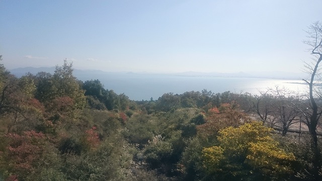 f:id:savarun:20201114221152j:plain f:id:savarun:20201114221152j:plain