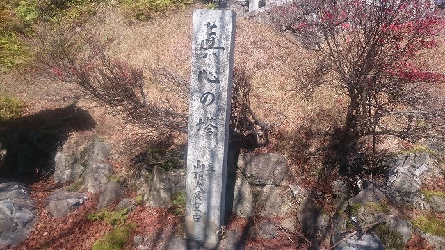 f:id:savarun:20201114223746j:plain f:id:savarun:20201114223746j:plain