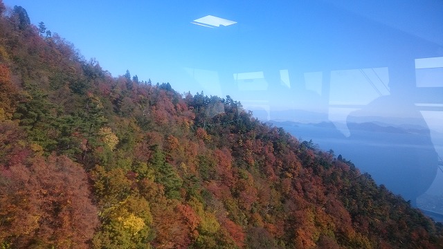 f:id:savarun:20201114225501j:plain f:id:savarun:20201114225501j:plain