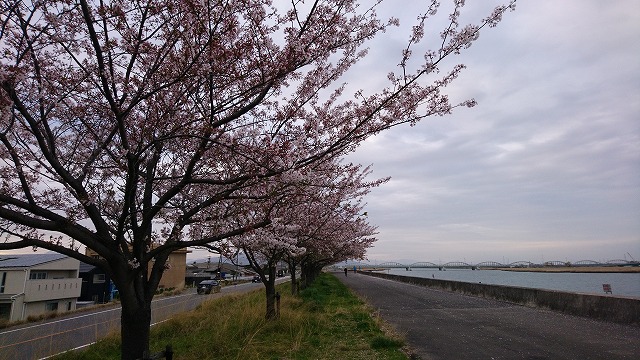 f:id:savarun:20210404190424j:plain