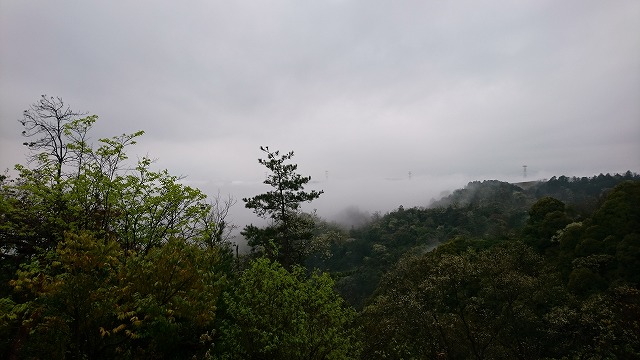 f:id:savarun:20210404194154j:plain