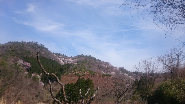 f:id:savarun:20210406225717j:plain
