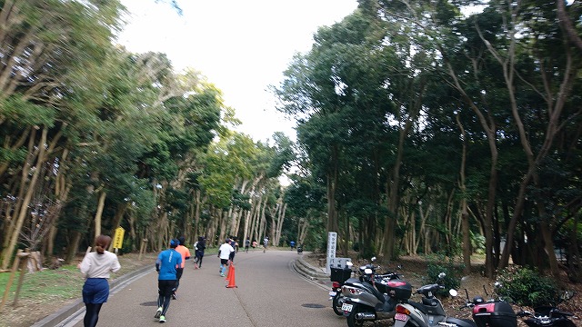 f:id:savarun:20211206001411j:plain