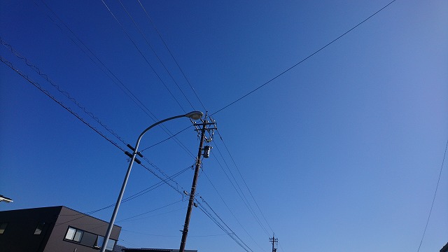 f:id:savarun:20220129181940j:plain