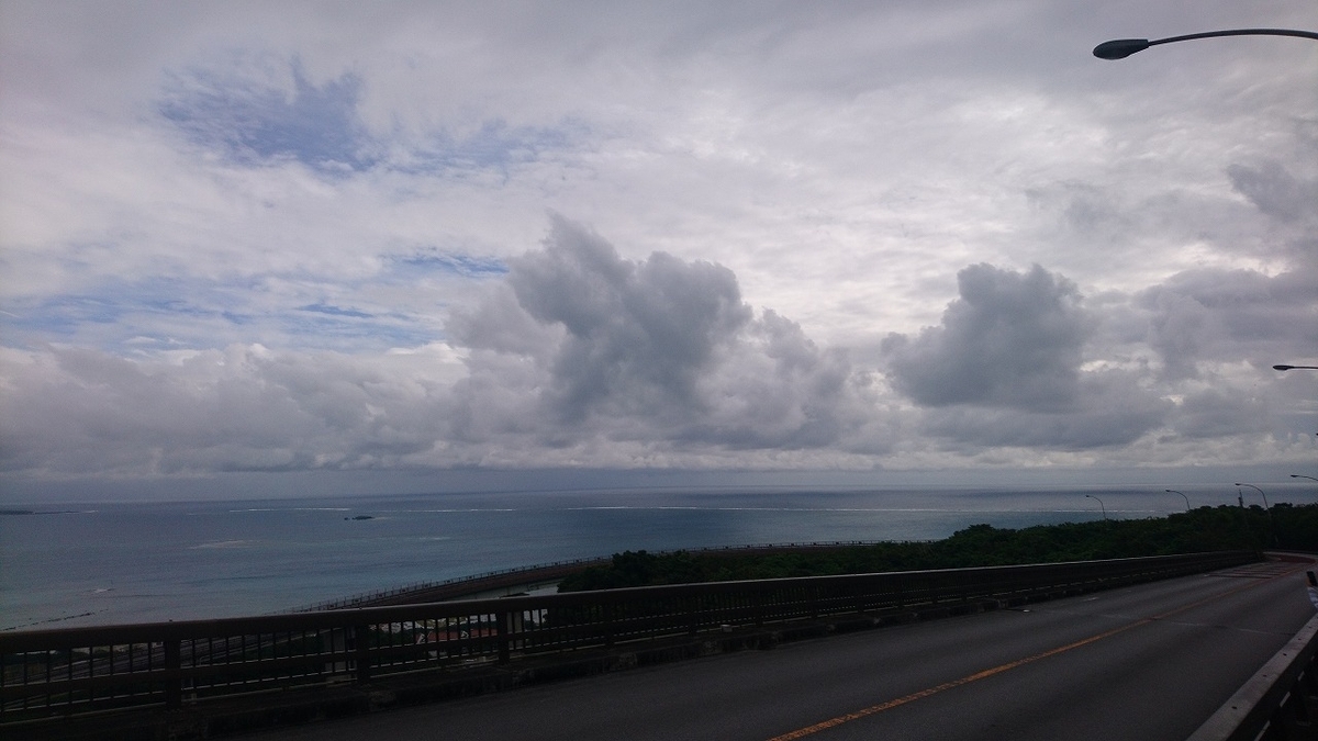 第8回沖縄100Kウルトラマラソン(2025/12/21) 感謝を伝えたくなる100km