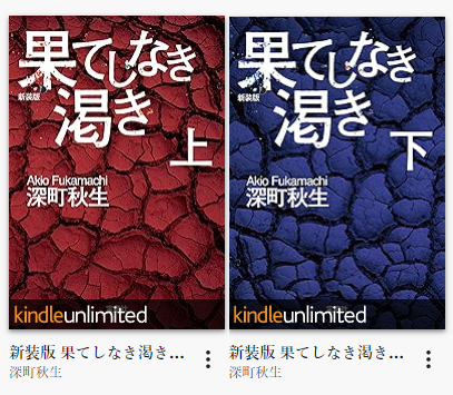 果てしなき渇き　表紙