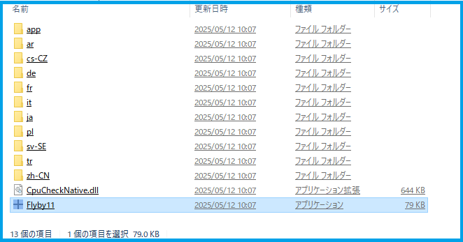 Flyby11実行