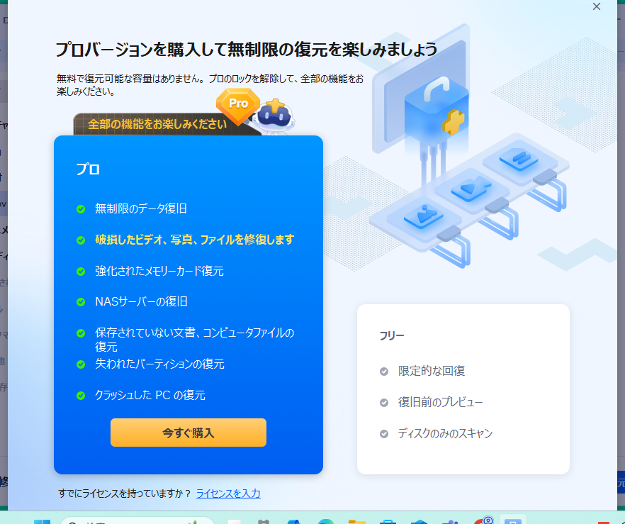 Pro版購入画面