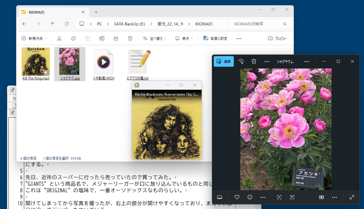 3種類のファイルは復元