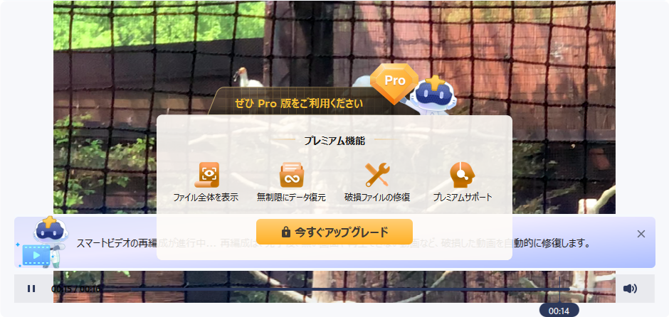 Pro版なら修復可能