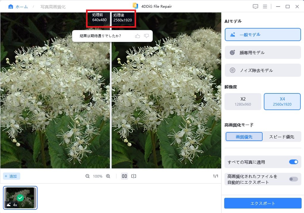花の写真