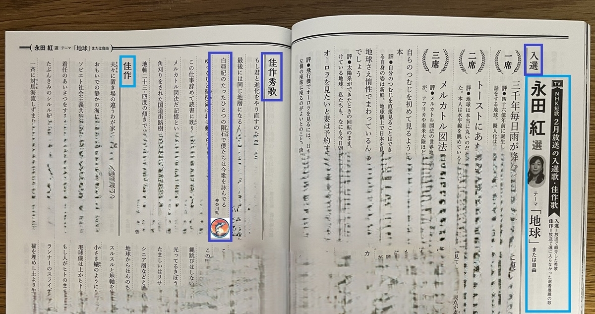 掲載ページ