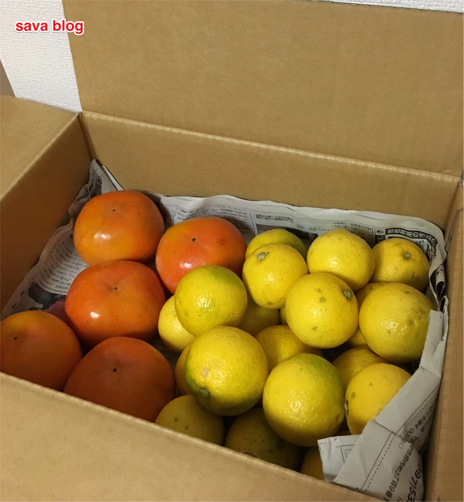 f:id:savaxxxx:20161122215309j:image f:id:savaxxxx:20161122215309j:image