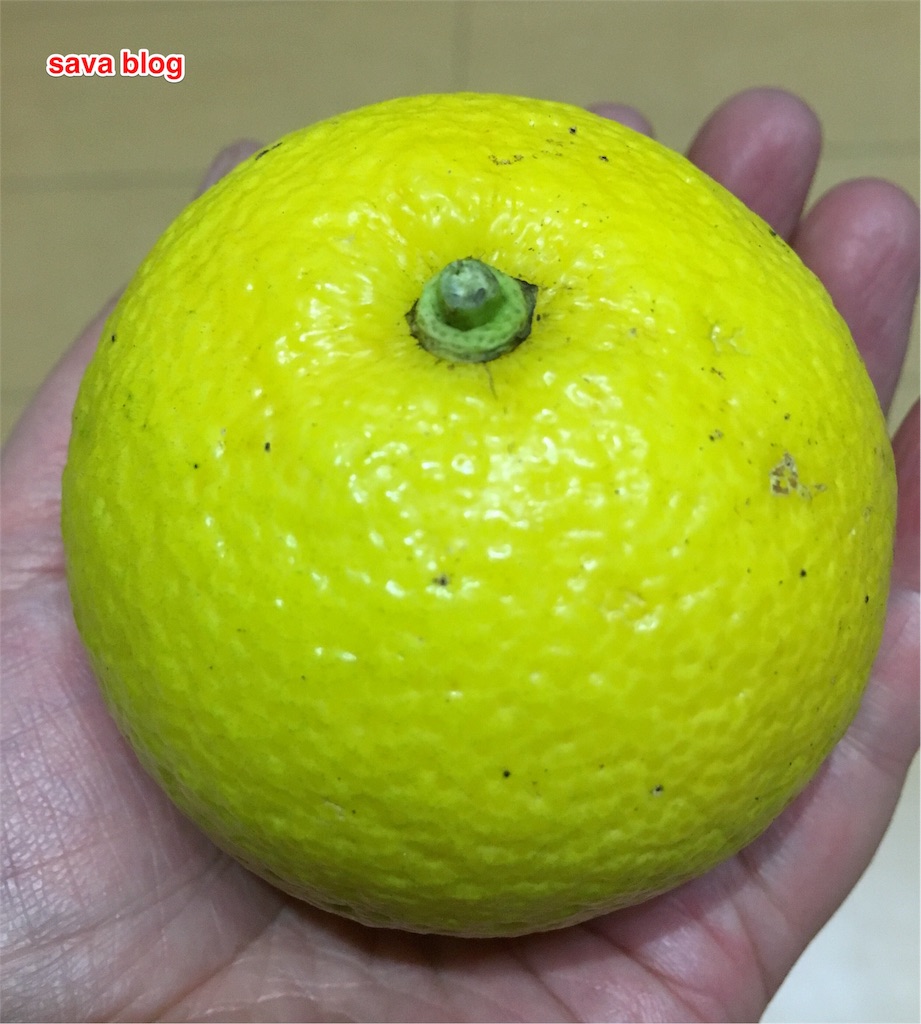 f:id:savaxxxx:20161122215847j:image f:id:savaxxxx:20161122215847j:image