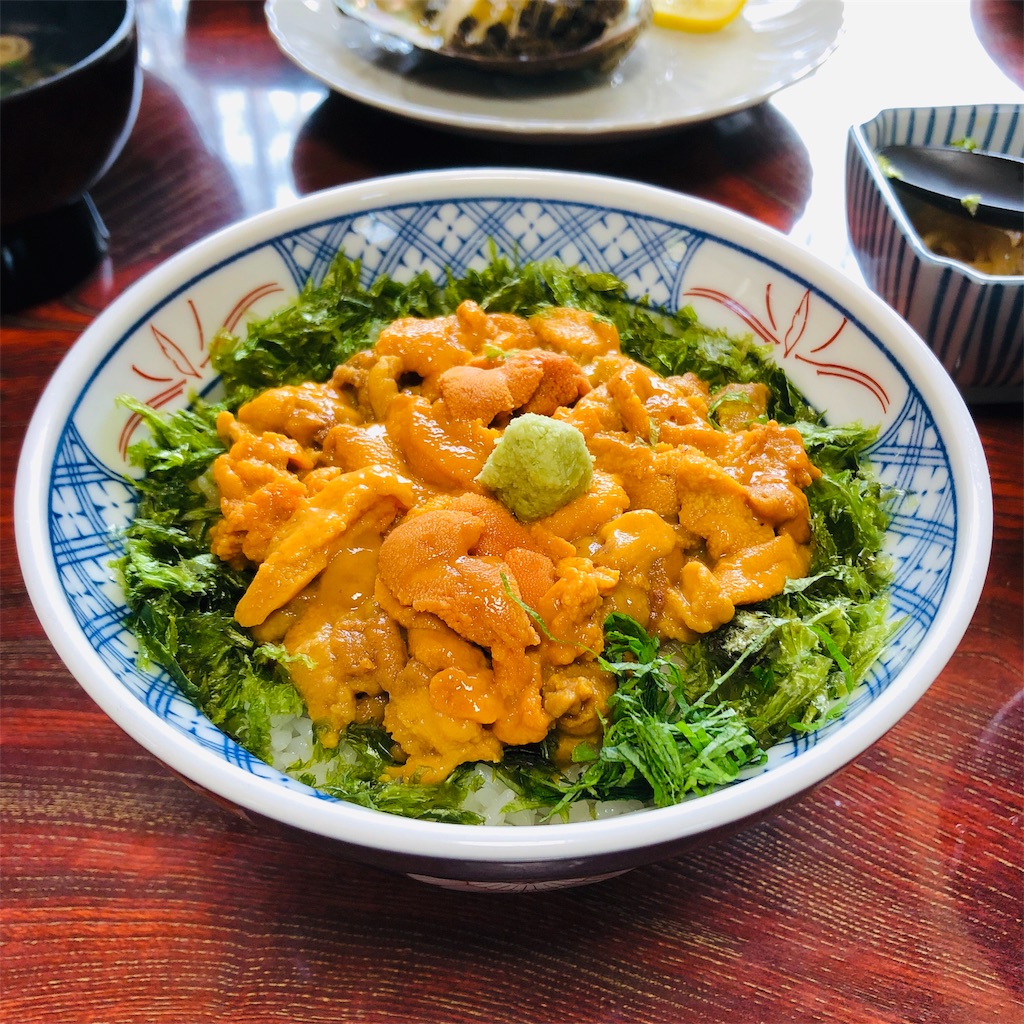 f:id:savest:20190506225017j:image
