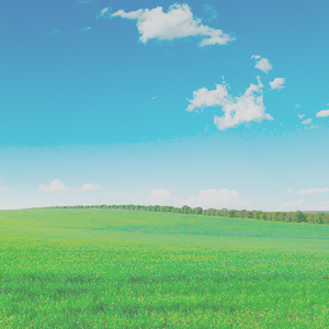 f:id:savoia1976:20141012195416j:plain