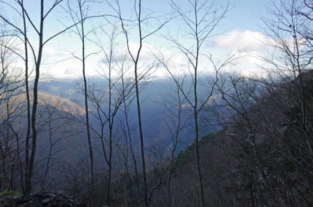 f:id:savy_wada:20141214123041j:image