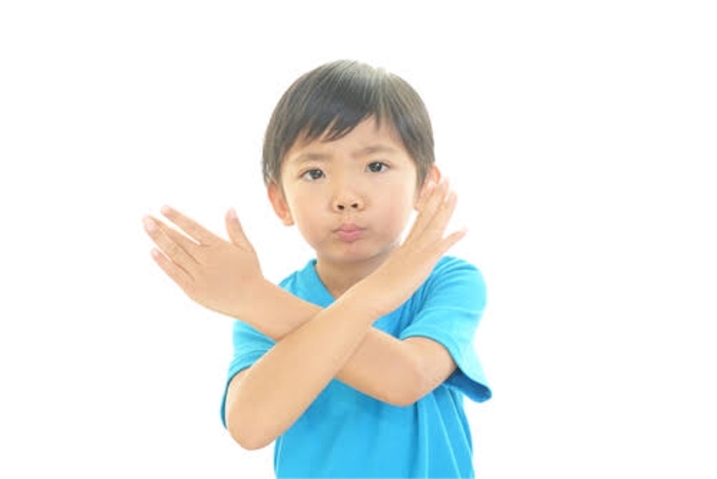f:id:sawa060806:20190219024614j:image
