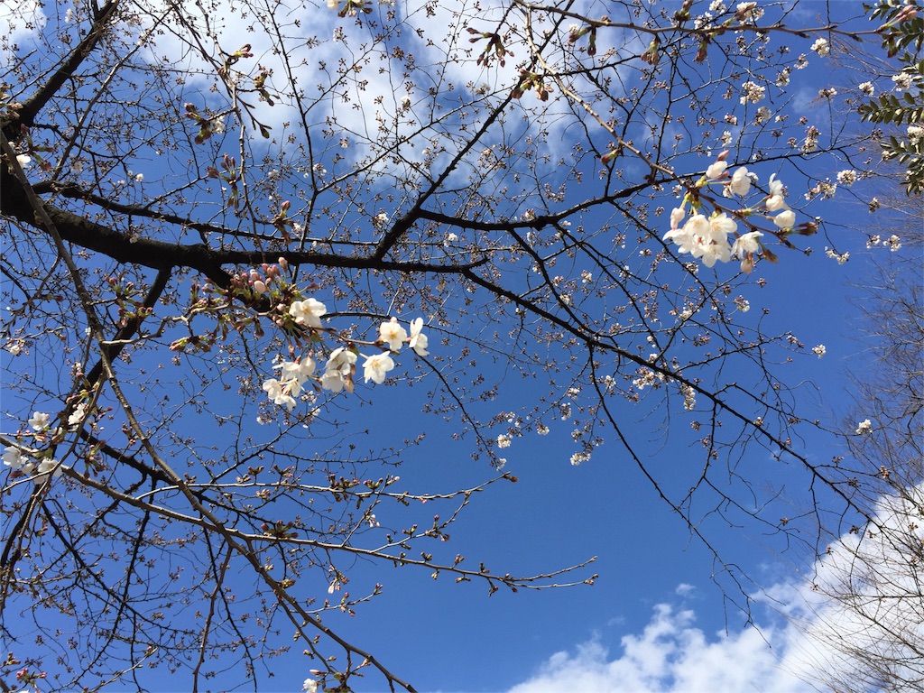 f:id:sawa_goto:20160402222421j:image f:id:sawa_goto:20160402222421j:image