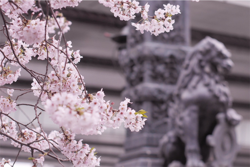 f:id:sawa_goto:20160402225247j:image f:id:sawa_goto:20160402225247j:image
