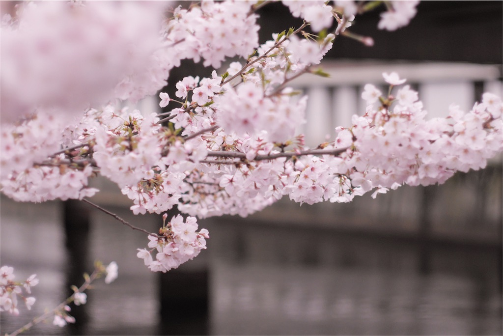 f:id:sawa_goto:20160402225332j:image f:id:sawa_goto:20160402225332j:image