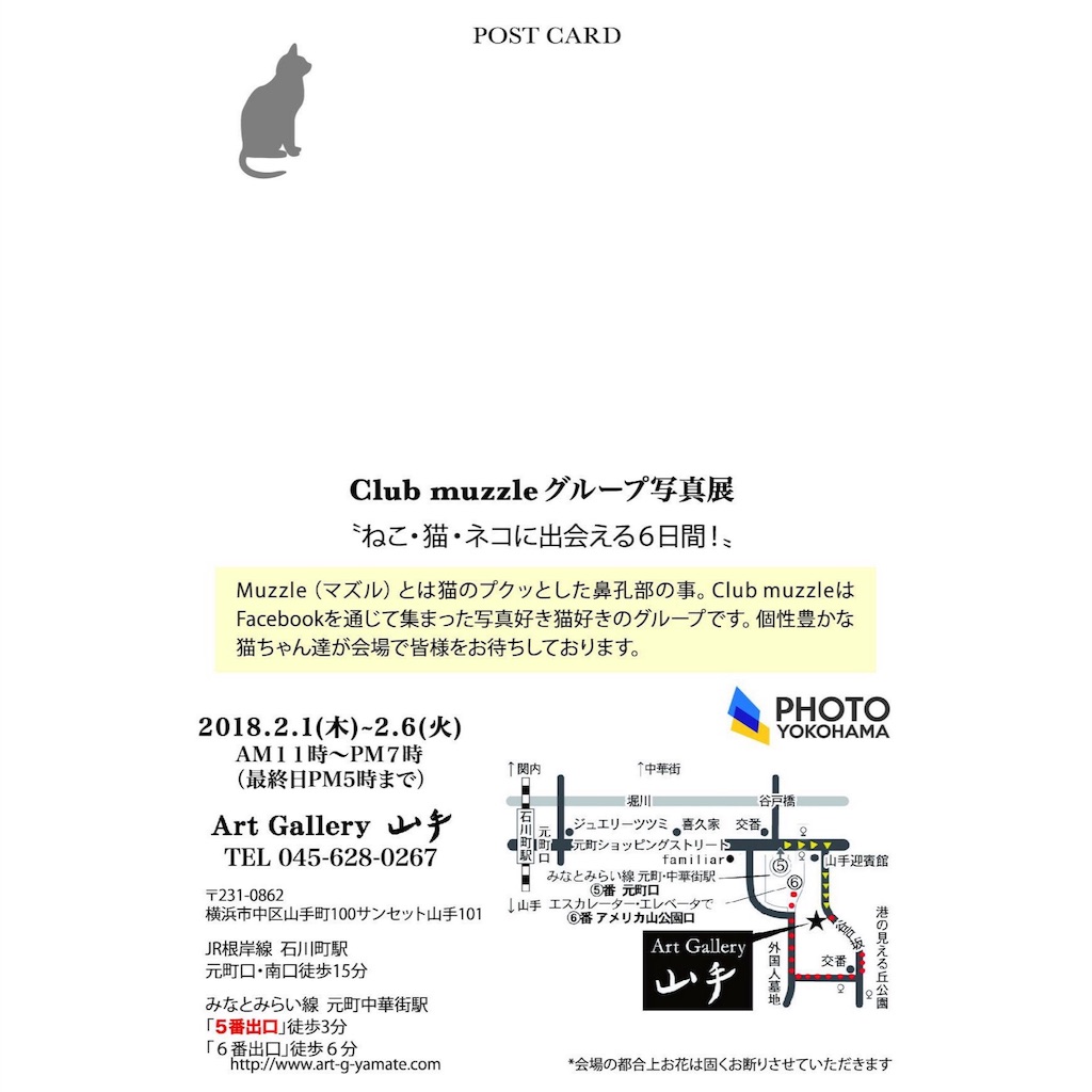 f:id:sawa_goto:20180208101220j:image