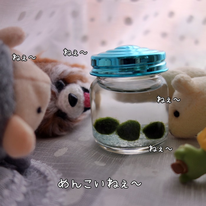 f:id:sawabald:20180702220530j:plain f:id:sawabald:20180702220530j:plain