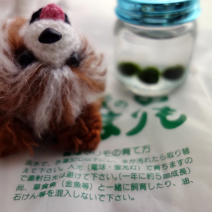 f:id:sawabald:20180702220830j:plain f:id:sawabald:20180702220830j:plain