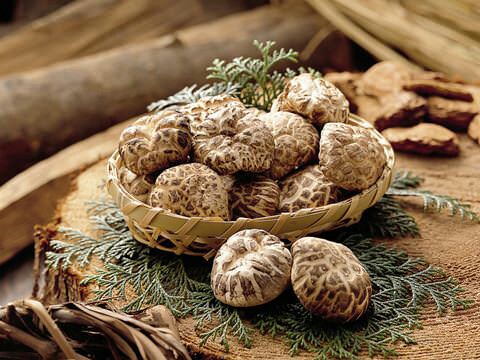 f:id:sawabihada:20170318011007j:image f:id:sawabihada:20170318011007j:image