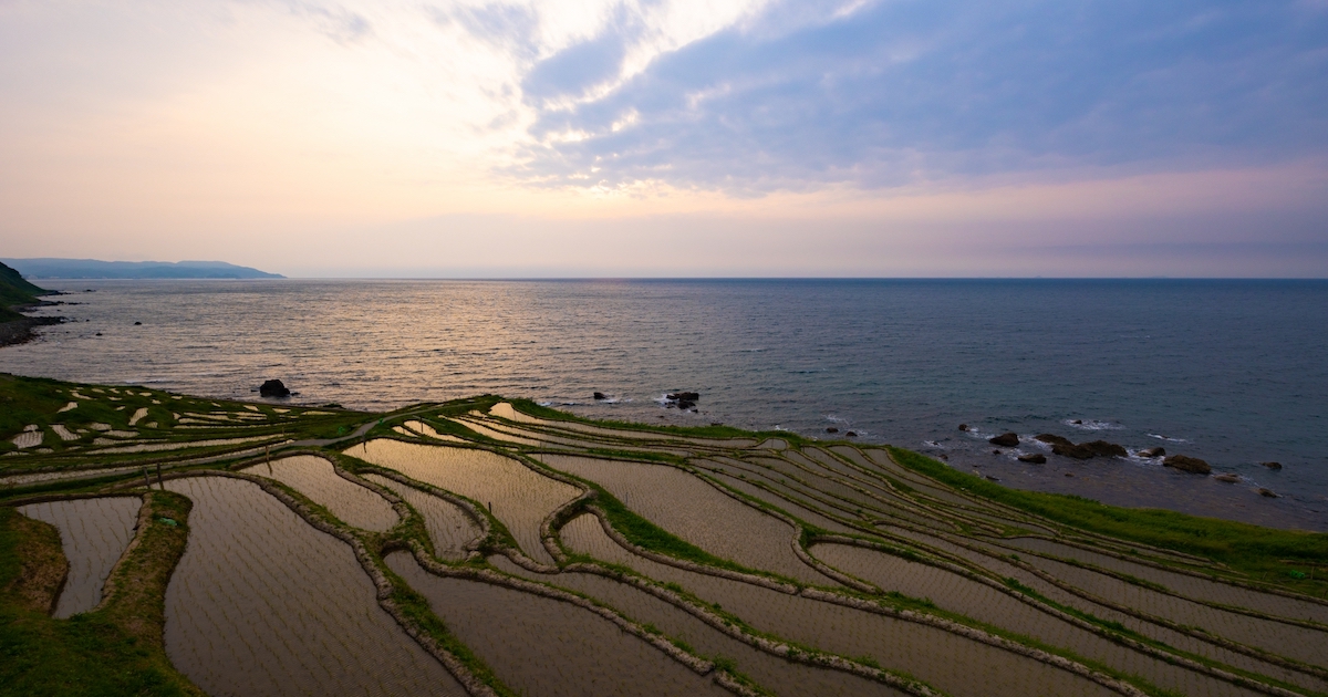 能登の千枚田