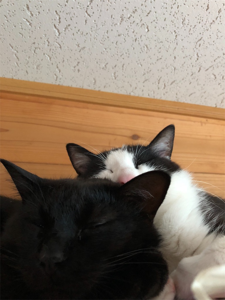 f:id:sawaka11:20180803121148j:image