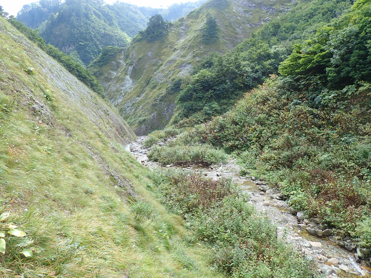 f:id:sawakaido:20200926203851j:plain
