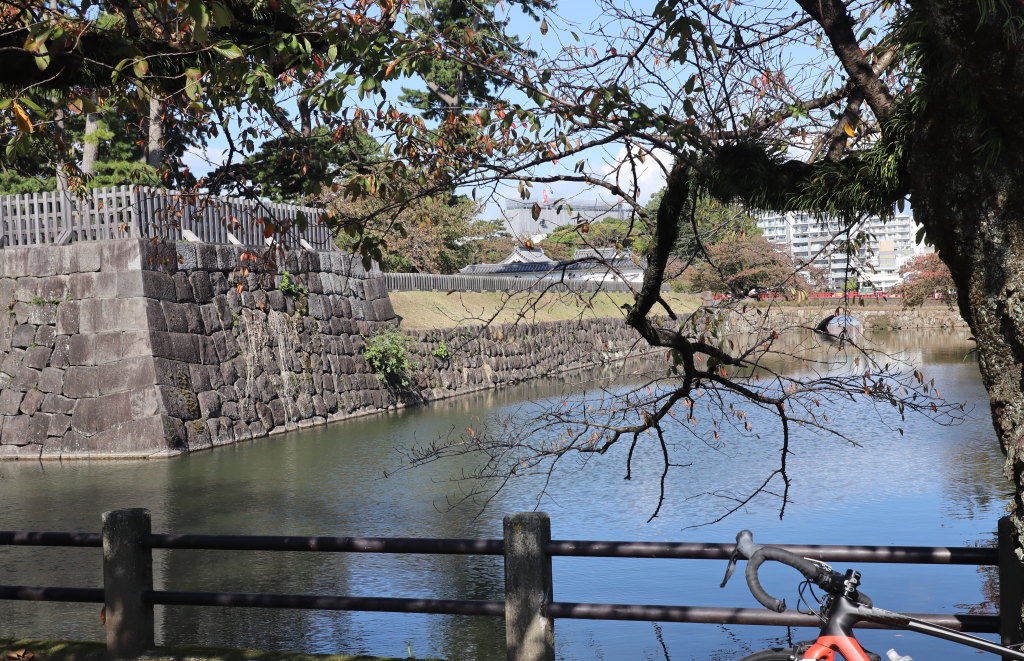 f:id:sawaragikunkun:20191105210905j:plain f:id:sawaragikunkun:20191105210905j:plain