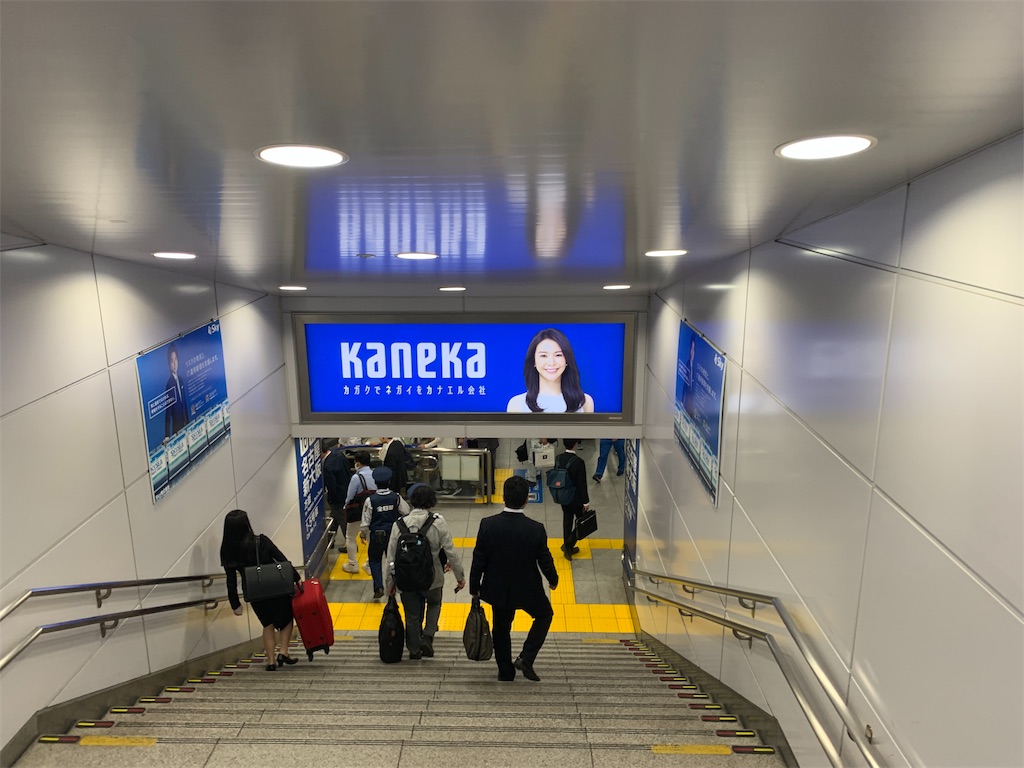 カネカ 東京駅の駅看板 知花くらら ささささの日記