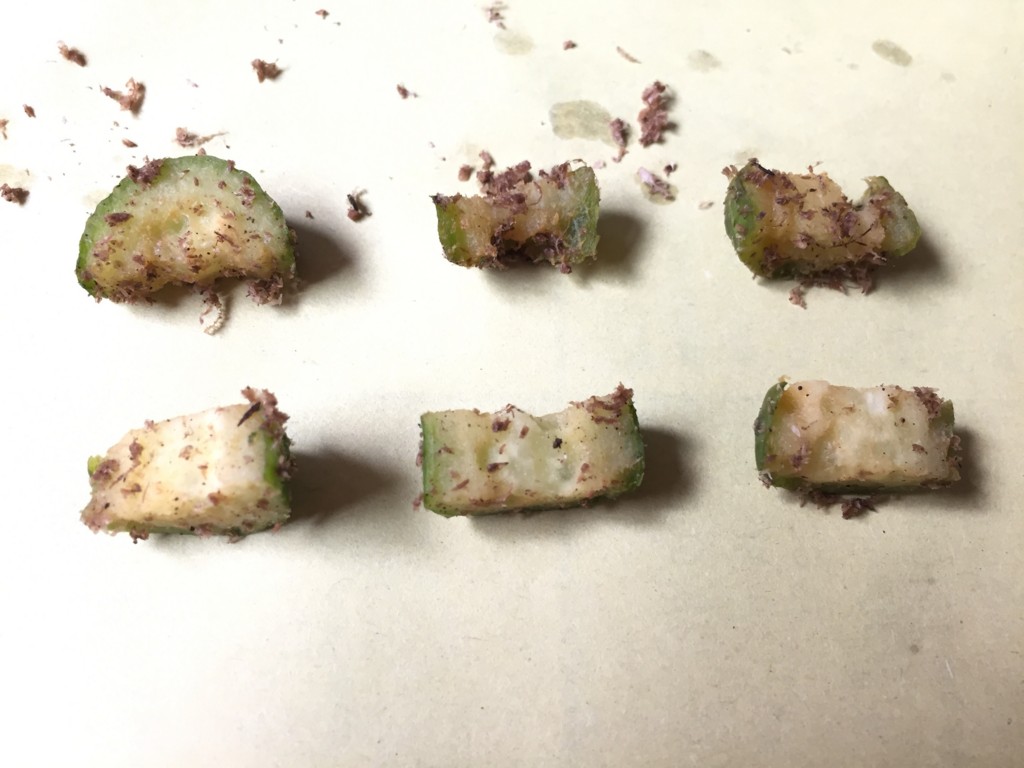 f:id:say-01:20161006165255j:plain