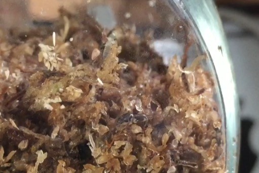 f:id:say-01:20161028161458j:plain