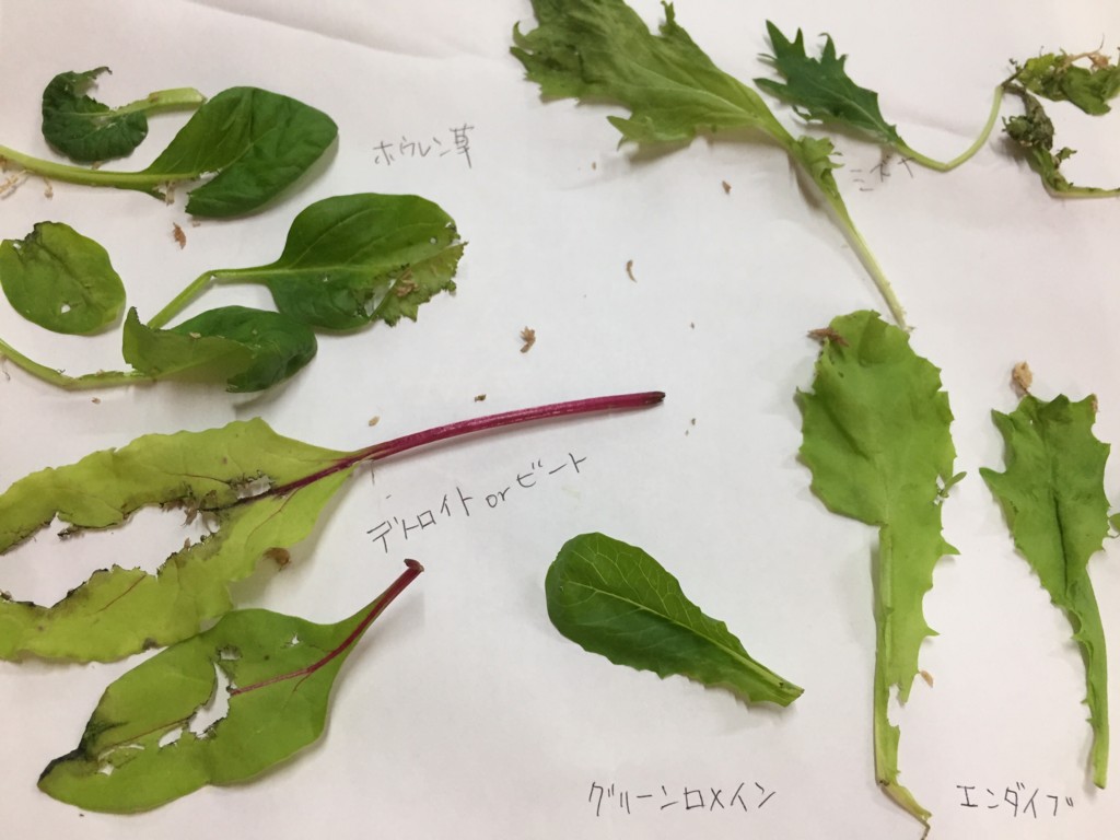 f:id:say-01:20161030212436j:plain f:id:say-01:20161030212436j:plain