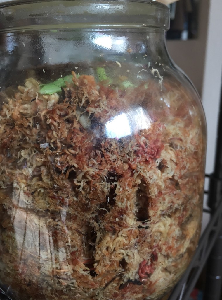 f:id:say-01:20170120140352j:plain