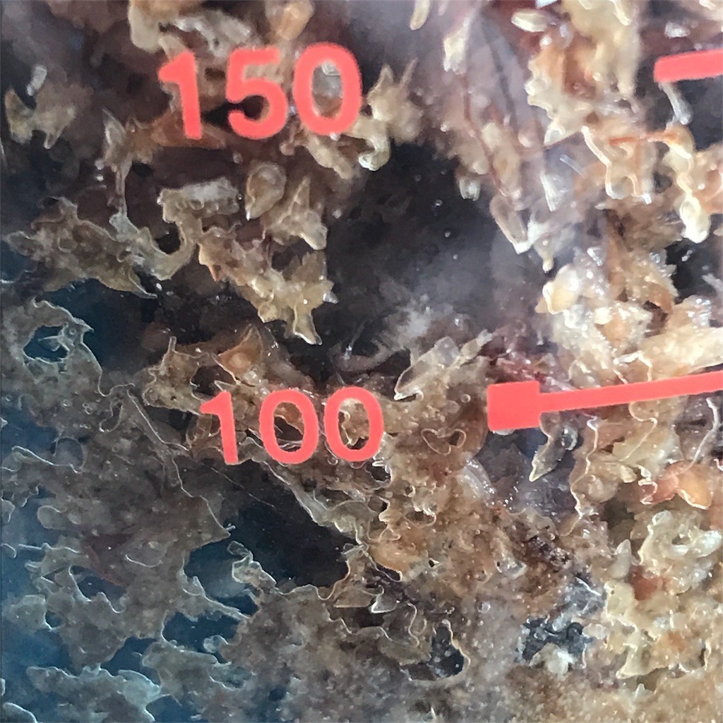 f:id:say-01:20170920141530j:image