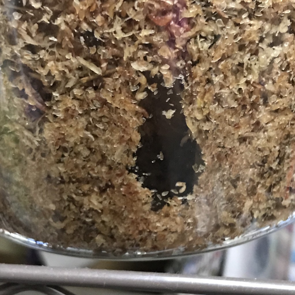 f:id:say-01:20170924215854j:plain f:id:say-01:20170924215854j:plain